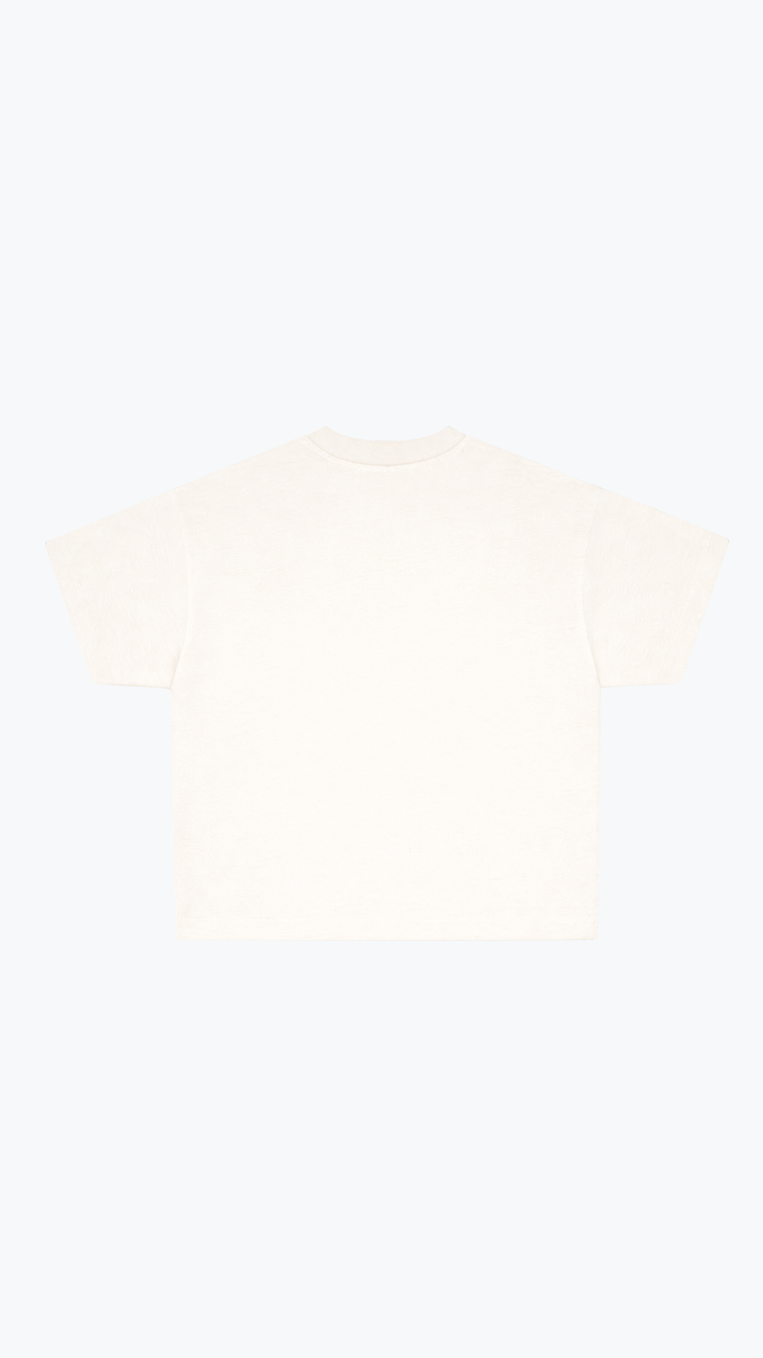 Holy Shroud Boxy Tee