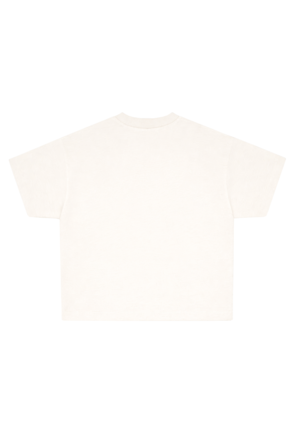 Holy Shroud Boxy Tee